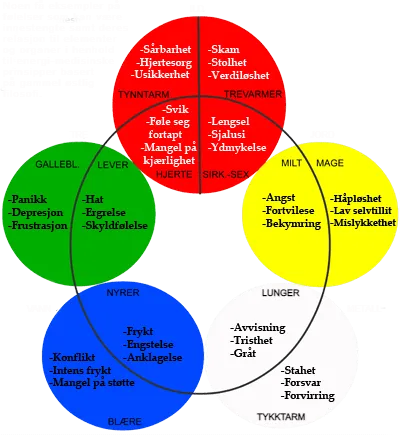 healer,healing,fjernhealing,regresjonsterapi,QHHT,BQH,kinesiologi,balansering